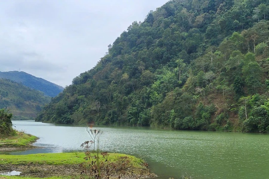 Lai Châu:Tạo động lực để người dân vùng cao bảo vệ rừng