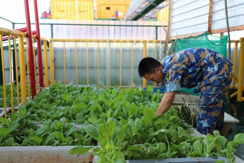 Người Dầu khí gieo yêu thương cho Xanh giàn xanh biển “Xanh hóa Trường Sa” Bài 2: Gieo yêu thương cho “Xanh hóa Trường Sa”