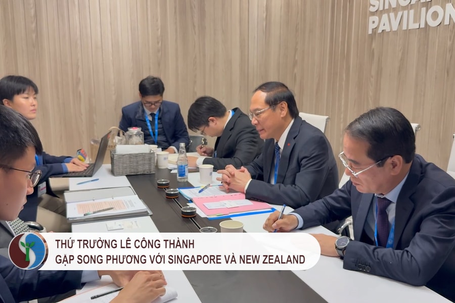 Thứ trưởng Lê Công Thành làm việc với đại diện Singapore và New Zealand tại Hội nghị COP 29.