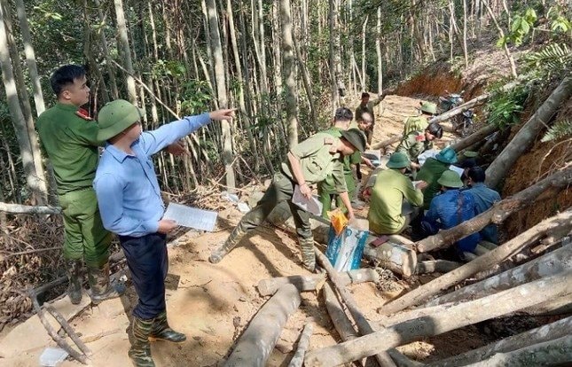 Na Rì (Bắc Kạn): Chuyển cơ quan CSĐT vụ phá rừng quy mô lớn