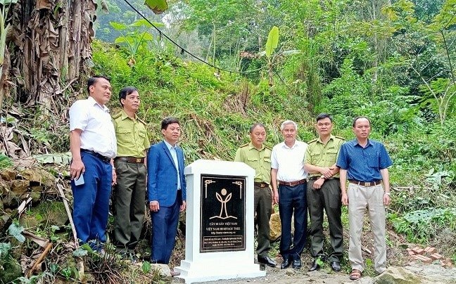 Tân Lạc (Hòa Bình): 4 cây cổ thụ được công nhận “cây di sản” Việt Nam trong lễ hội văn hóa