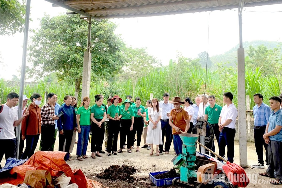 Tuyên Quang: Chung tay bảo vệ môi trường