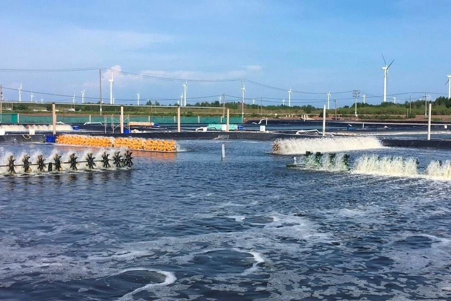 Sở TN&MT Bạc Liêu: Tăng cường đối thoại với doanh nghiệp về bảo vệ môi trường