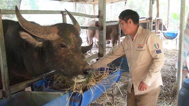 Nậm Pồ (Điện Biên): Chủ động phòng tránh rét cho vật nuôi