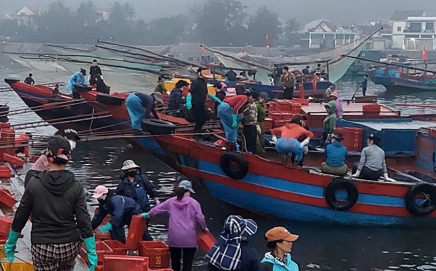 Nghệ An - Hà Tĩnh: Nỗ lực đăng ký cho các tàu cá “3 không”