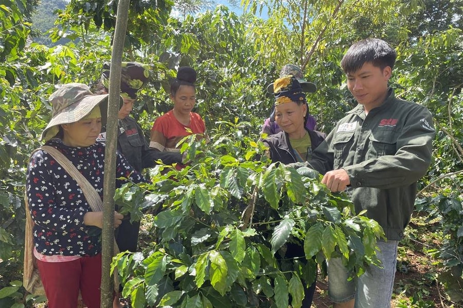 Nông nghiệp Sơn La thích ứng BĐKH