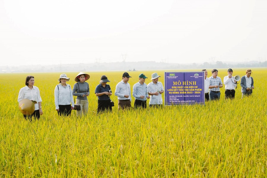 Quảng Trị: Phát triển nông nghiệp, nông thôn bền vững