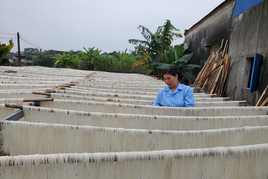 Làng nghề miến gạo Thăng Long nhộn nhịp ngày cận Tết