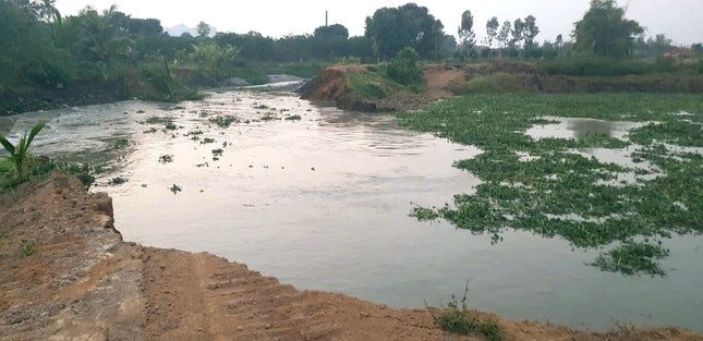 Thanh Hóa: Sạt lở nghiêm trọng ở bờ sông nhà Lê