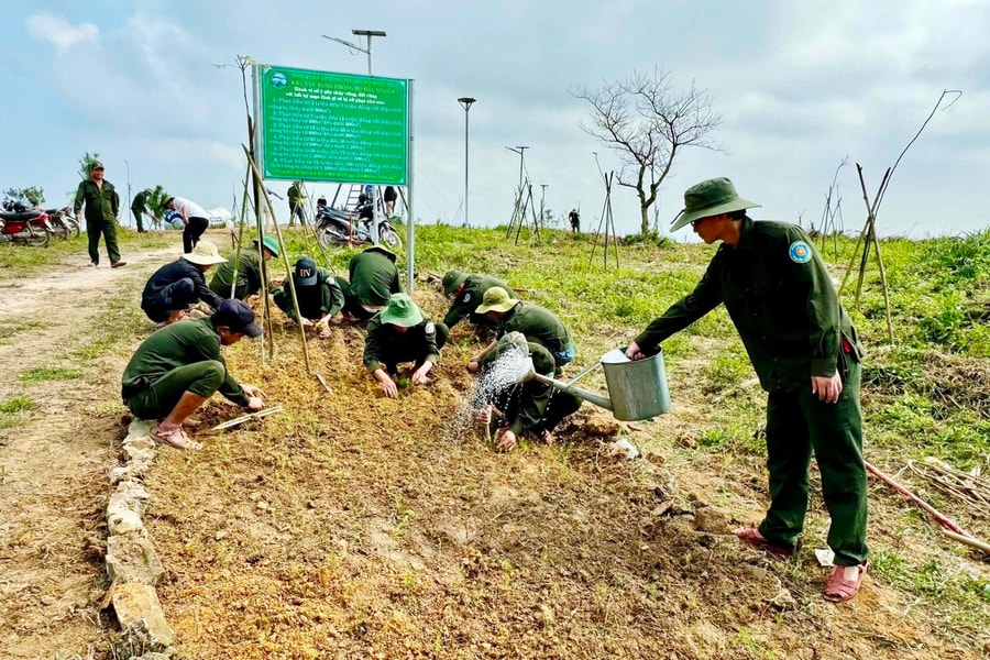 Trồng hơn 10.000 cây hoa trên đỉnh núi Hòn Vượn