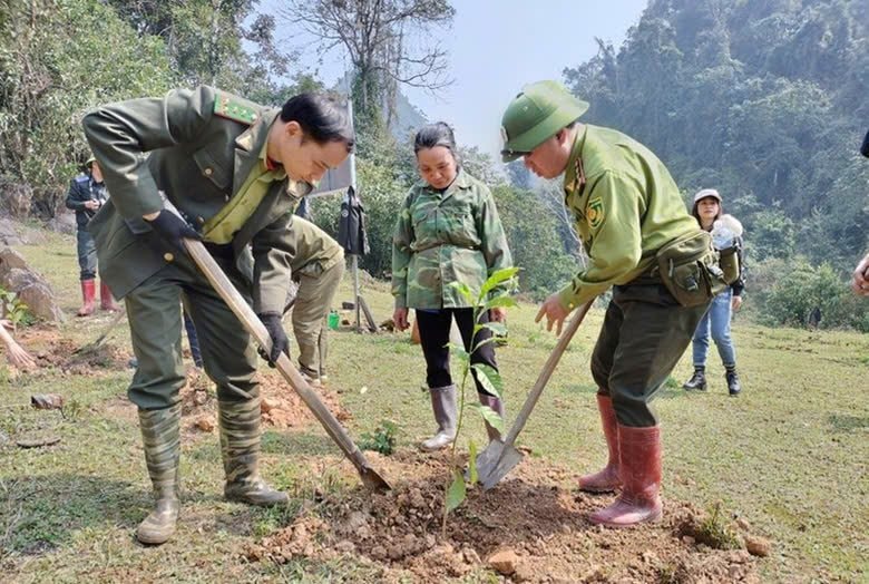 Bắc Kạn: Quyết tâm trồng mới 3.500 ha rừng