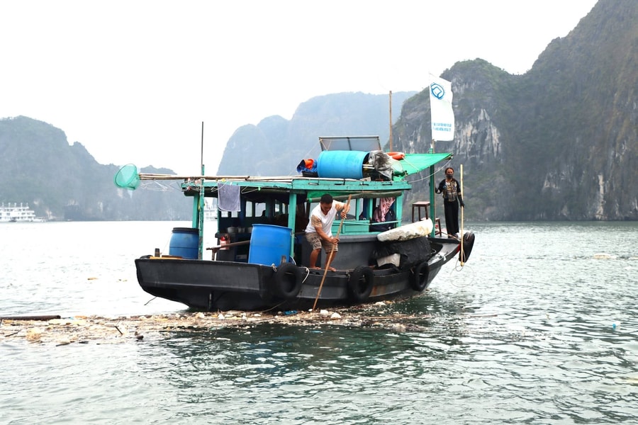 Quảng Ninh: Sẽ tổ chức nhiều hoạt động hưởng ứng các ngày lễ môi trường