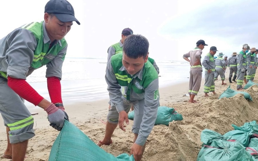 Quảng Ngãi: Huy động hằng trăm nhân lực làm kè bảo vệ bờ biển Mỹ Khê