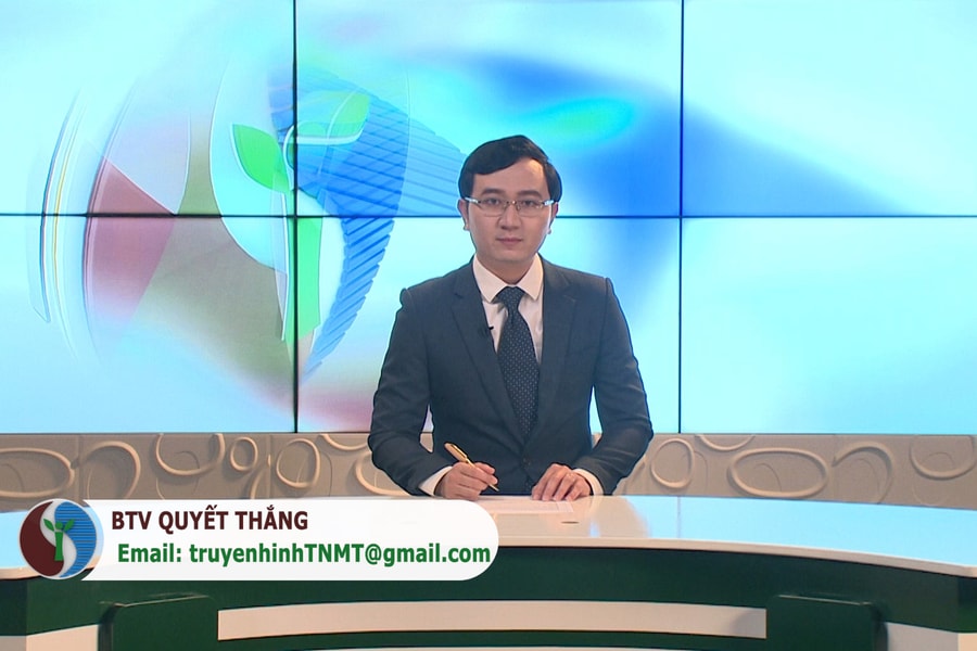 Bản tin truyền hình Tài nguyên và Môi trường số 38/2021 (số 205)