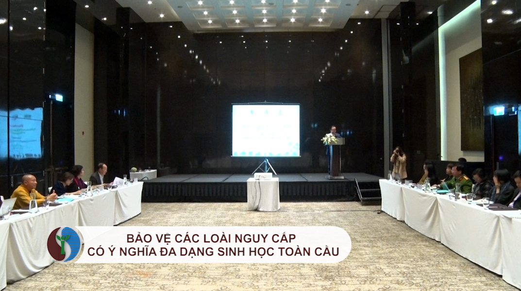 Bảo vệ các loài nguy cấp có ý nghĩa đa dạng sinh học toàn cầu