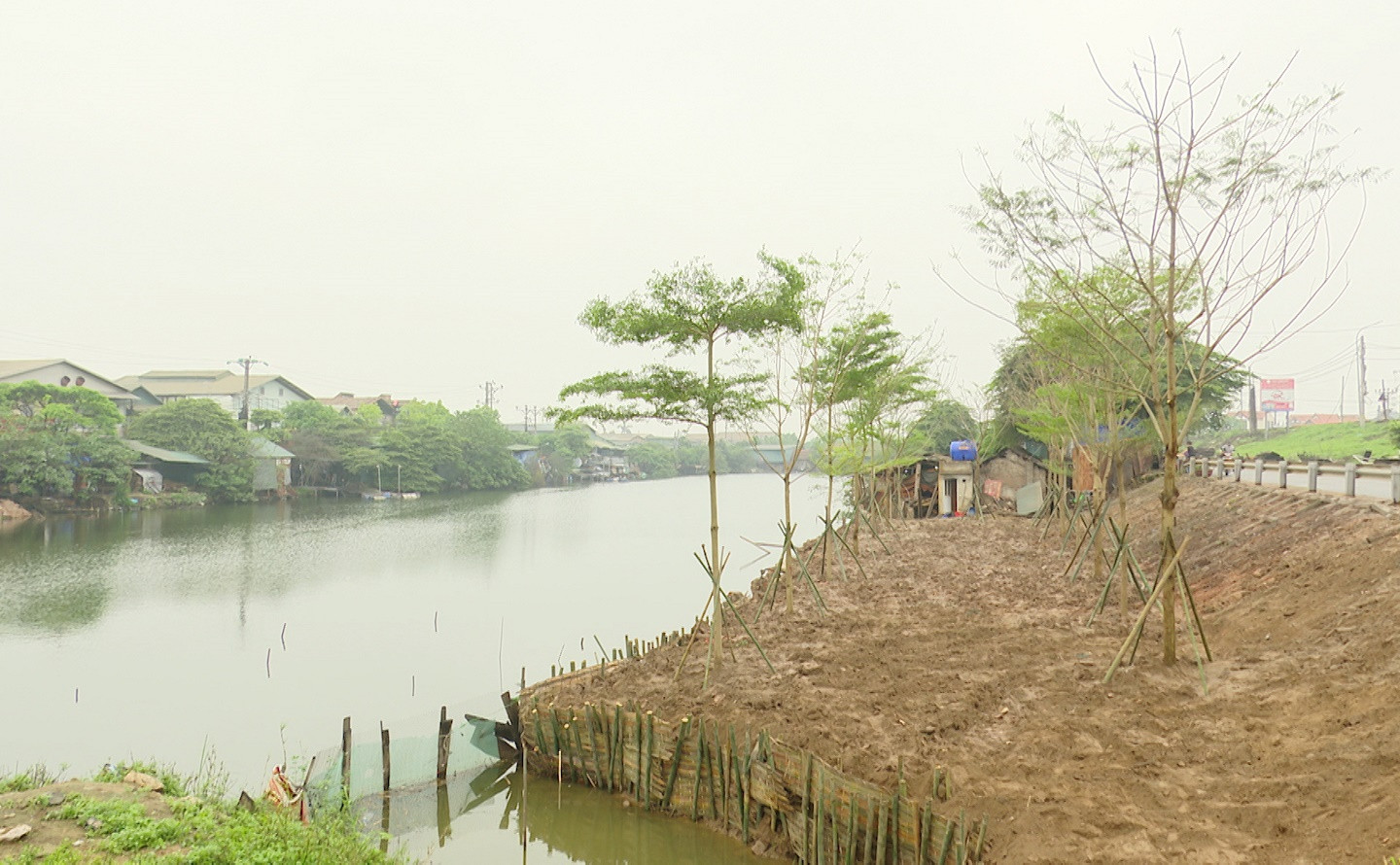 Đan Phượng - Hà Nội: Thu hồi đất xây dựng nhà xưởng trái phép để trồng cây xanh